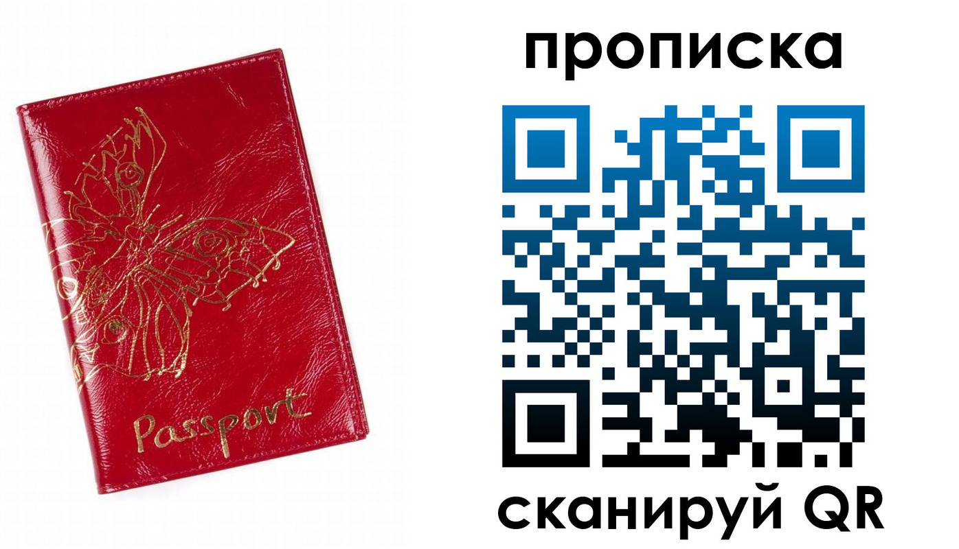 прописка поиск в Курской области